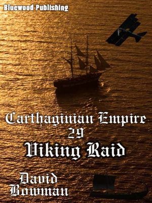 cover image of Viking Raid